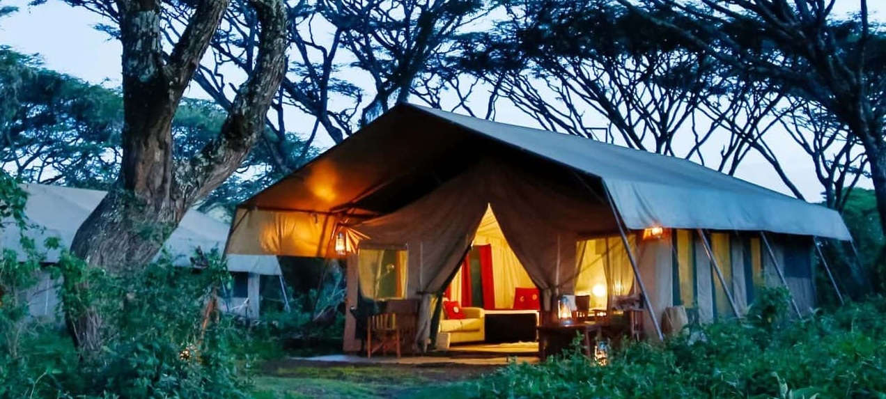 Lemala Ngorongoro