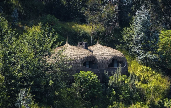 Wilderness Bisate Lodge