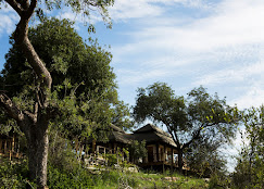 Simbavati Hilltop Lodge