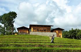 COMO Uma Punakha
