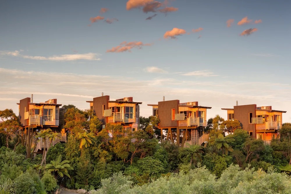 Hapuku Lodge + Tree Houses
